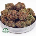 Buy Cannabis Birthday Cake Kush AAA at MMJ Express Online Shop