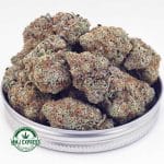 Buy Cannabis Bacio Gelato AAAA+, Craft at MMJ Express Online Shop