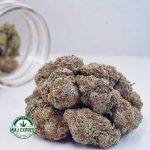 Buy Cannabis Bacio Gelato AAAA+, Craft at MMJ Express Online Shop