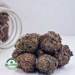 Buy Cannabis Granddaddy Purple AAAA at MMJ Express Online Shop
