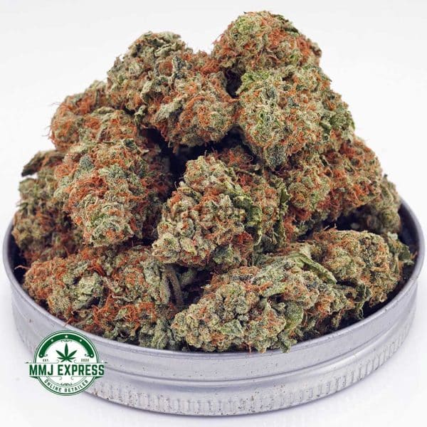 Buy Cannabis Gorilla Cookies AAA at MMJ Express Online Shop
