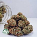 Buy Cannabis Gorilla Cookies AAA at MMJ Express Online Shop