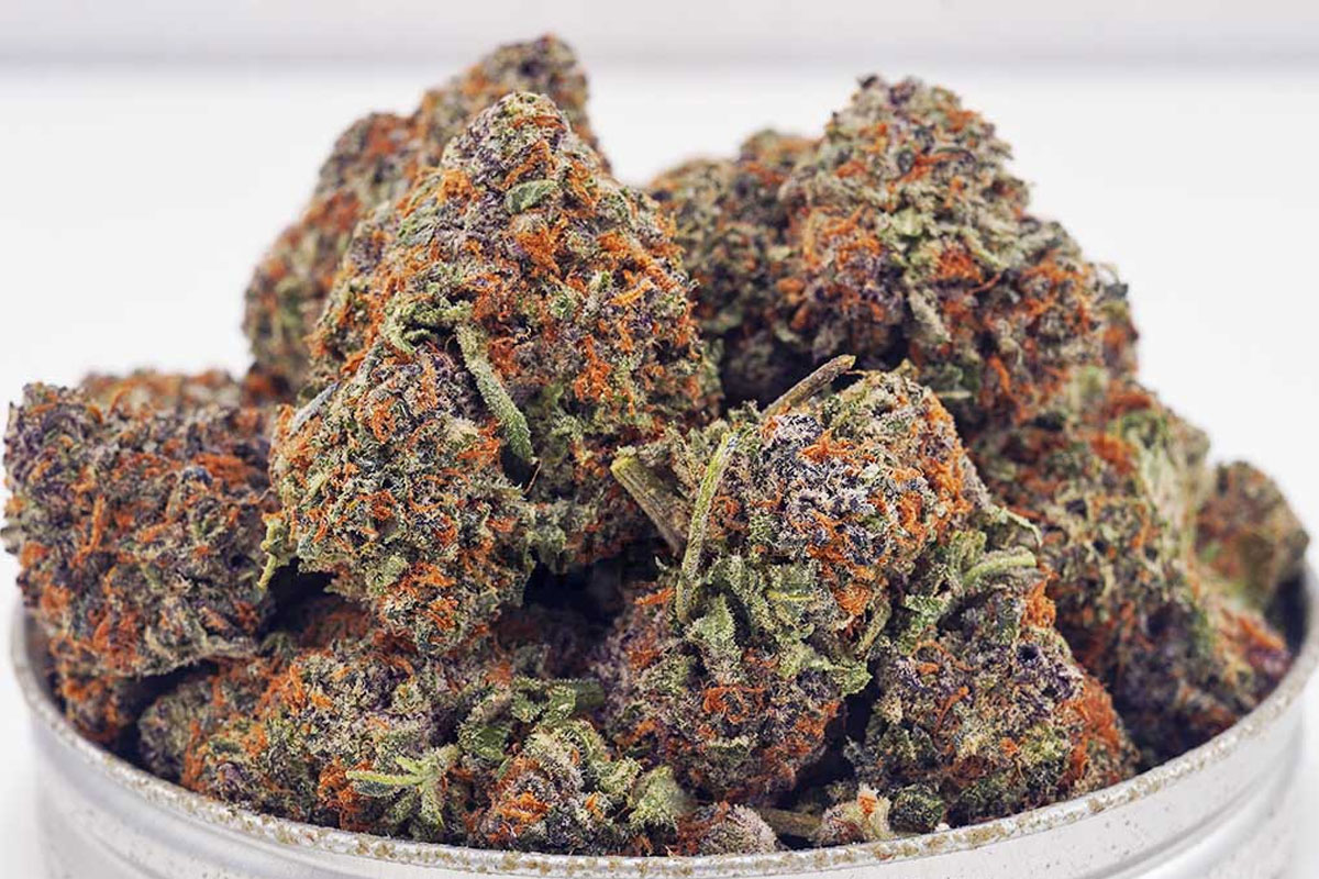Purple Candy cannabis