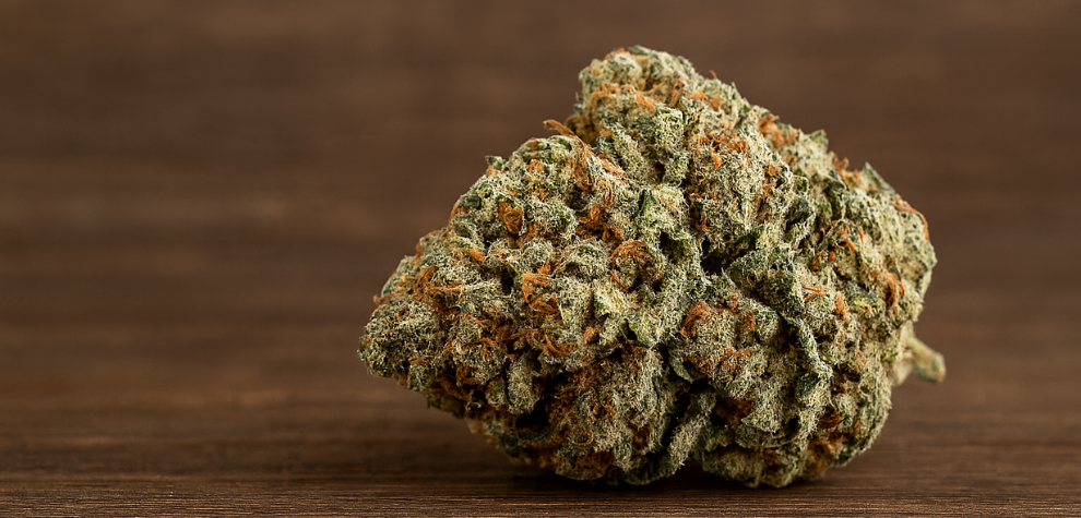 Dense Hindu Kush weed bud showing classic indica traits with frosty trichomes and rich green-orange hues