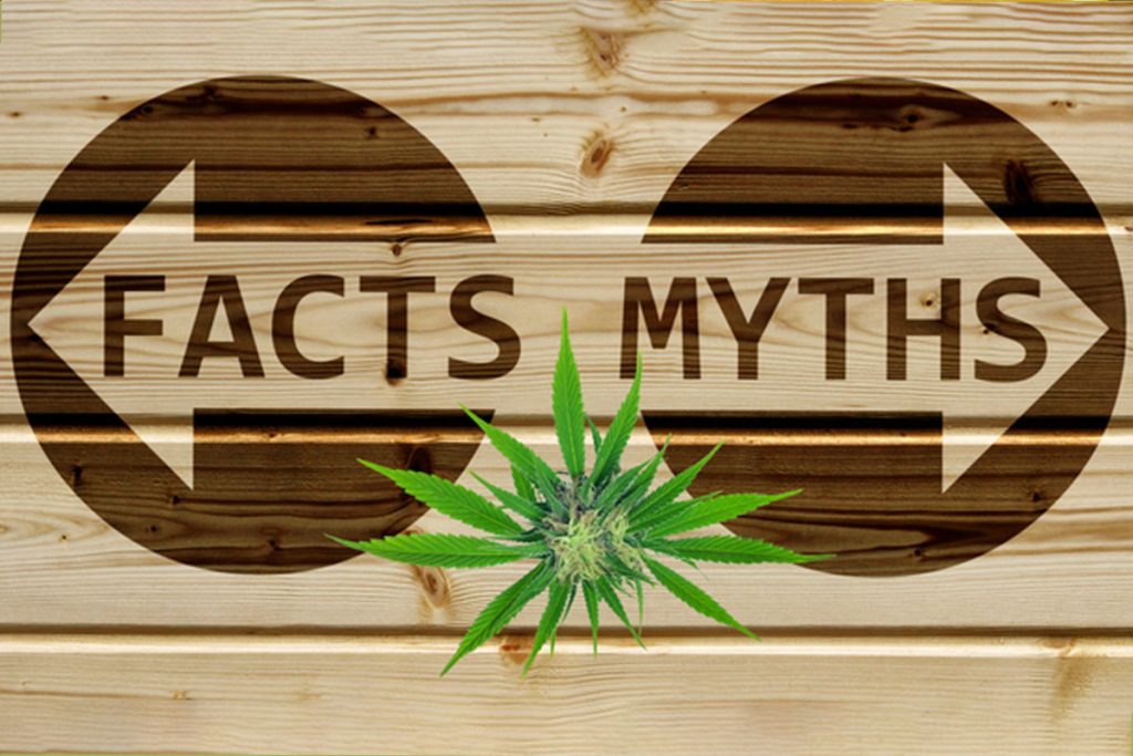 cannabis stereotypes