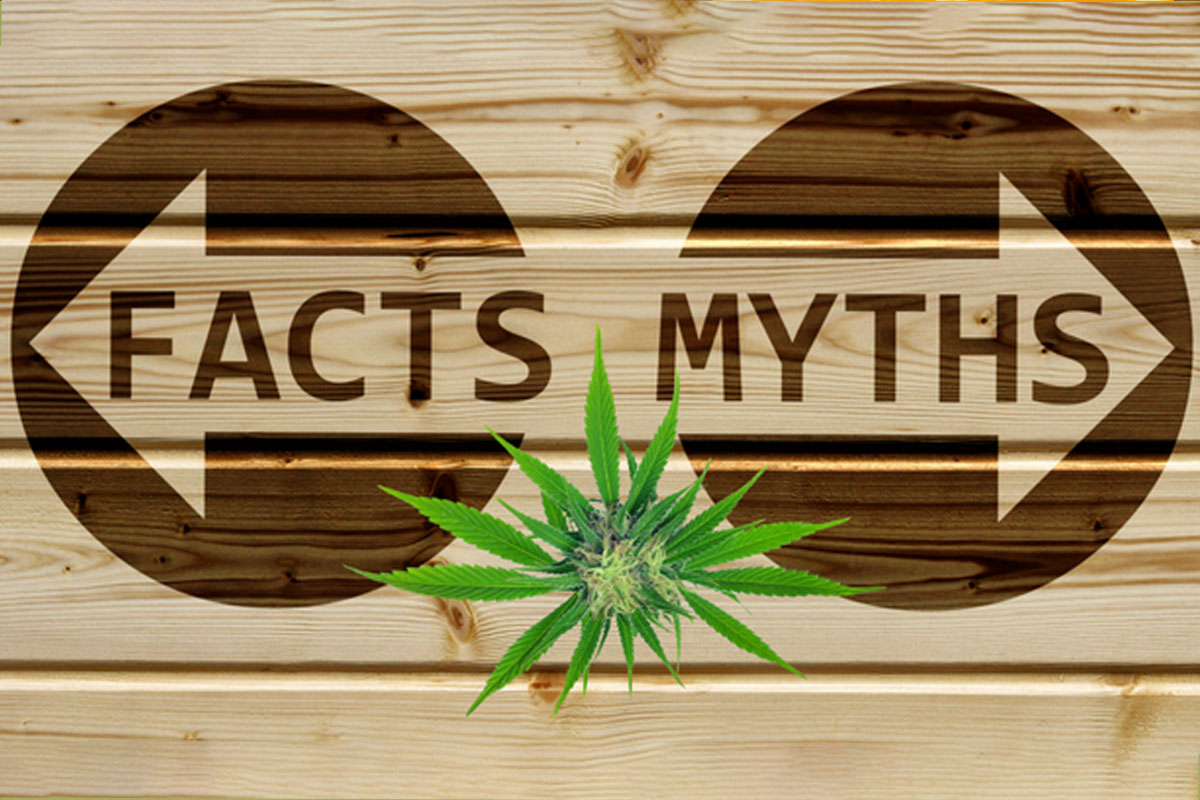 cannabis stereotypes