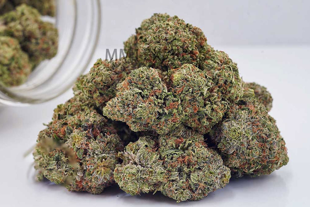 grease monkey cannabis strain