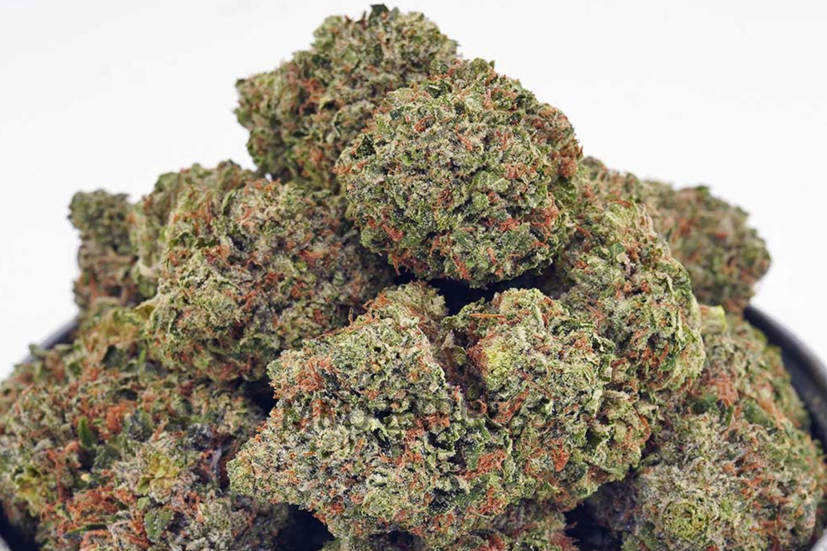 grease monkey cannabis wholesale
