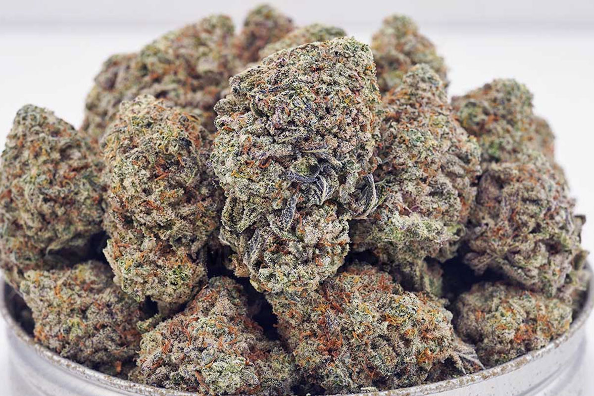green crack cannabis wholesale mmj express