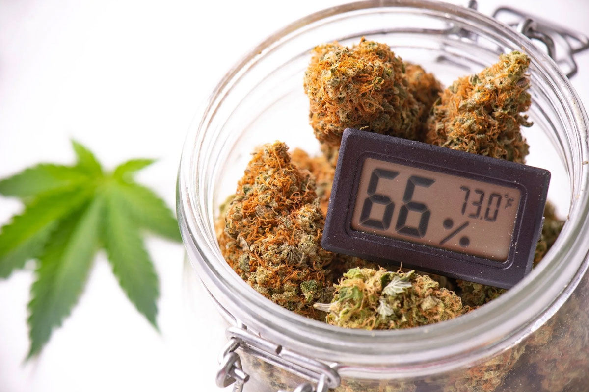 how to dry weed properly banner