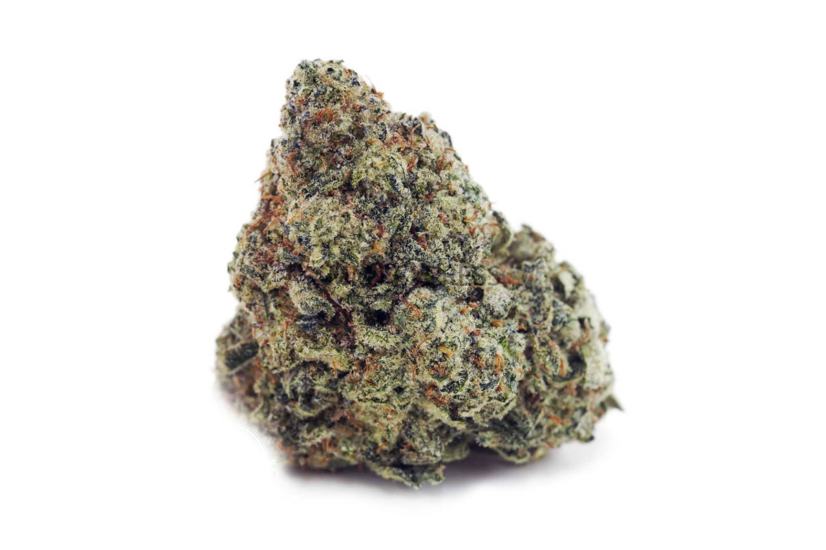 white skunk