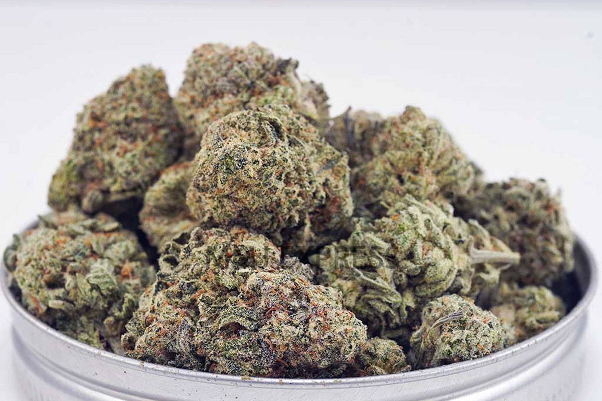 white skunk