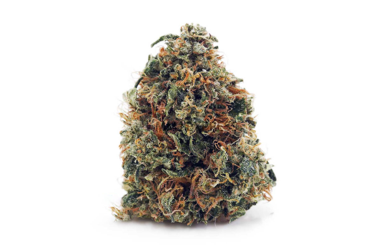 Comatose OG Cannabis flower