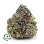 Buy Cannabis Greasy Pink AAA at MMJ Express Online Shop