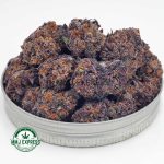Buy Cannabis Jet Fuel Gelato AAAA+, Craft at MMJ Express Online Shop