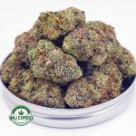 Buy Cannabis Orange Juice Kush AAAA+, Craft at MMJ Express Online Shop