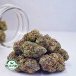 Buy Cannabis Orange Juice Kush AAAA+, Craft at MMJ Express Online Shop