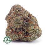 Buy Cannabis Vanilla Kush AAAA at MMJ Express Online Shop