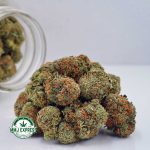 Buy Cannabis Passionfruit Lemonade AAAA at MMJ Express Online Shop