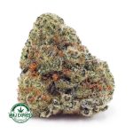 Buy Cannabis Green Goblin AAA at MMJ Express Online Shop