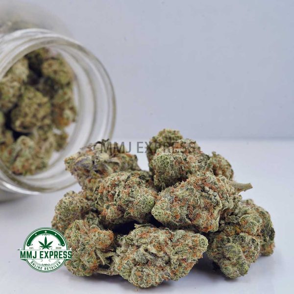 Buy Cannabis Green Goblin AAA at MMJ Express Online Shop