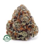Buy Cannabis Tahoe OG AAA at MMJ Express Online Shop