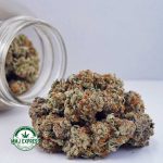 Buy Cannabis Tahoe OG AAA at MMJ Express Online Shop