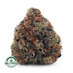 Buy Cannabis Hindu Skunk AAA at MMJ Express Online Shop
