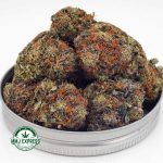 Buy Cannabis Hindu Skunk AAA at MMJ Express Online Shop