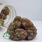 Buy Cannabis Hindu Skunk AAA at MMJ Express Online Shop