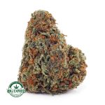 Buy Cannabis Gouda Berry AAA at MMJ Express Online Shop