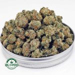 Buy Cannabis Cookie Crasher AAAA (Popcorn) at MMJ Express Online Shop