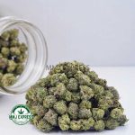 Buy Cannabis Blueberry Lemonade AAAA (Popcorn Nugs) at MMJ Express Online Shop