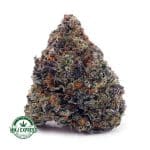 Buy Cannabis Island Pink Kush AAAA+, Craft at MMJ Express Online Shop