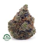 Buy Cannabis Couch Lock AAAA+ , Craft at MMJ Express Online Shop