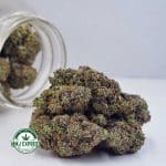 Buy Cannabis Couch Lock AAAA+ , Craft at MMJ Express Online Shop
