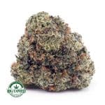 Buy Cannabis Green Goblin AAA at MMJ Express Online Shop