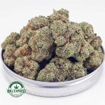 Buy Cannabis Green Goblin AAA at MMJ Express Online Shop
