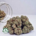 Buy Cannabis Green Goblin AAA at MMJ Express Online Shop