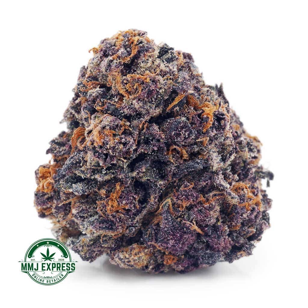 EA PURPLERUNTZ MMJ Buy Cannabis Purple Runtz AAAA at MMJ Express Online Shop