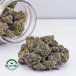 Buy Cannabis Platinum Pink AAAA (Popcorn Nugs) at MMJ Express Online Shop