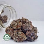 Buy Cannabis Orange Juice Kush AAAA+, Craft at MMJ Express Online Shop