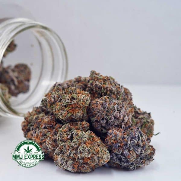 Buy Cannabis Orange Juice Kush AAAA+, Craft at MMJ Express Online Shop