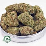 Buy Cannabis Girl Scout Cookies AAA at MMJ Express Online Shop