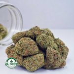 Buy Cannabis Girl Scout Cookies AAA at MMJ Express Online Shop
