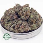 Buy Cannabis Hindu Skunk AAA at MMJ Express Online Shop
