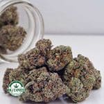 Buy Cannabis Hindu Skunk AAA at MMJ Express Online Shop