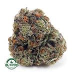 Buy Cannabis Chemdawg AAA at MMJ Express Online Shop