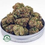 Buy Cannabis Chemdawg AAA at MMJ Express Online Shop