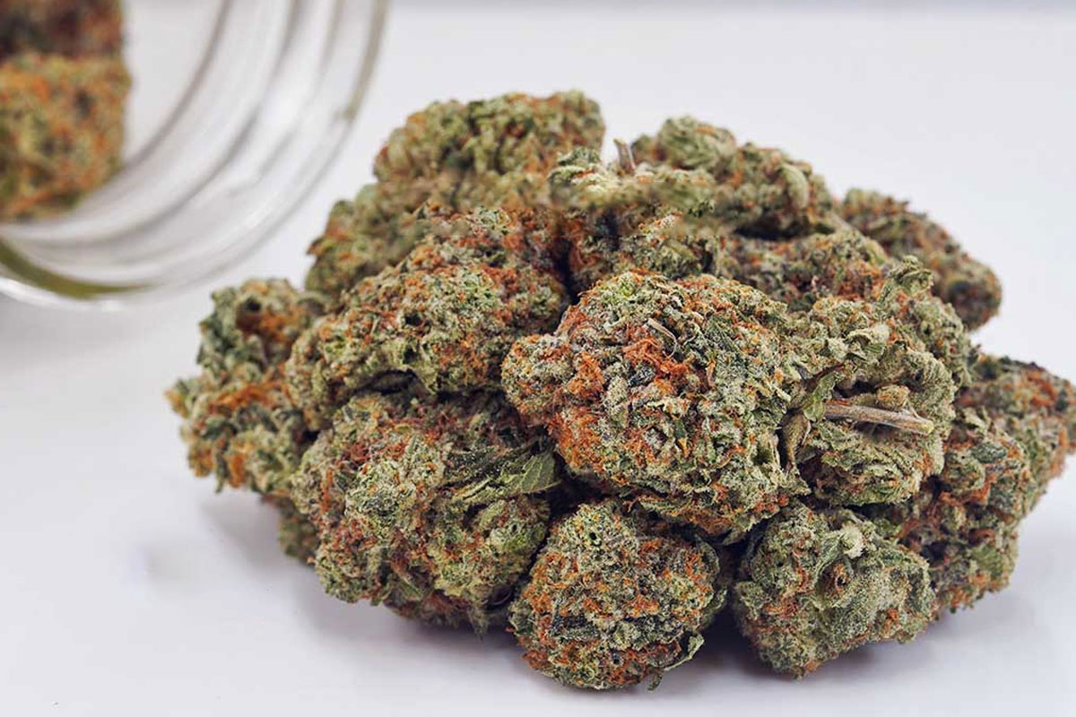 Georgia Pie cannabis